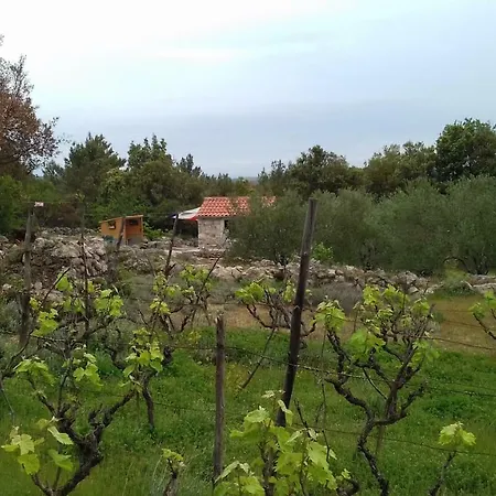 Holiday home Robinson House Krunica *